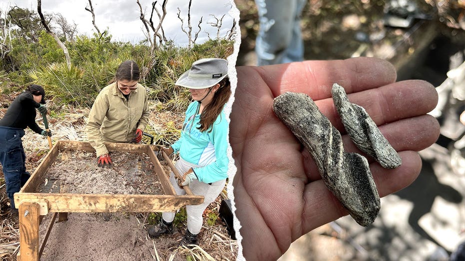 Ancient artifacts found beneath Cape Canaveral Space Force Station as one mystery still stumps researchers Australia Private Schools